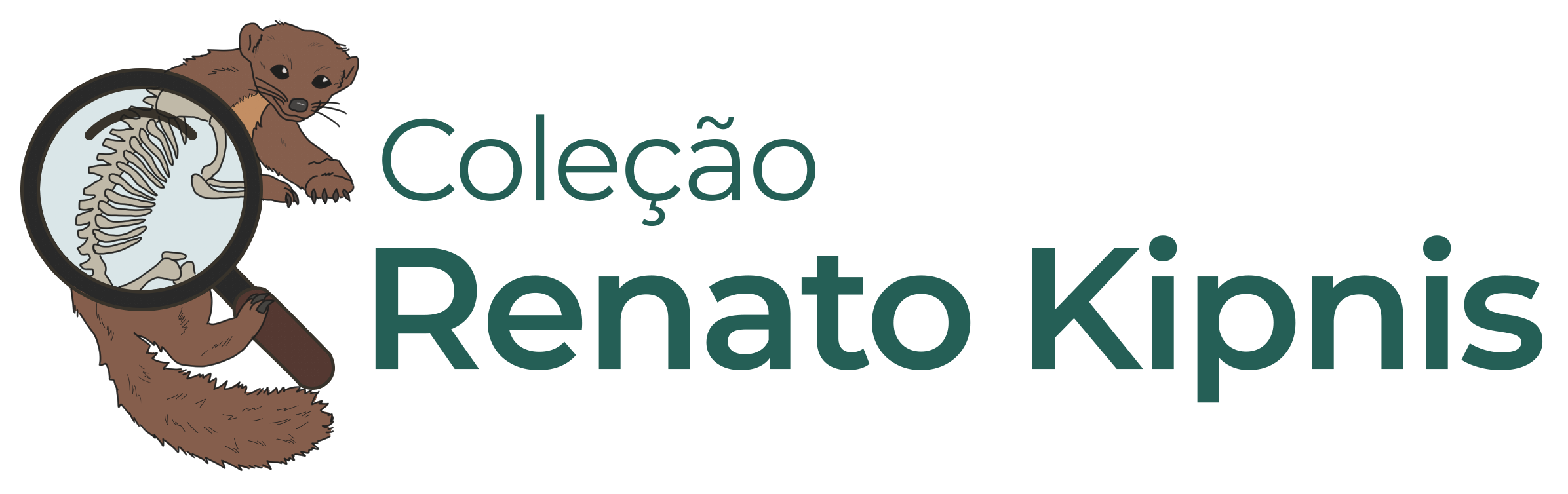 Coleção Renato Kipnis