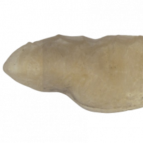 Otólito de pescada-amarela