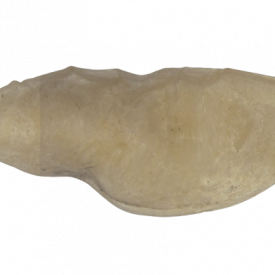 Otólito de pescada-amarela
