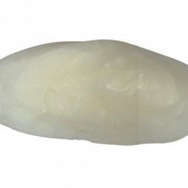 Otólito de pescadinha-branca